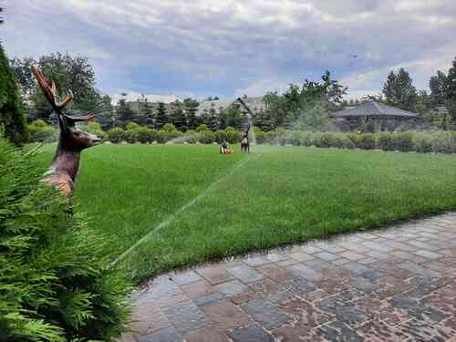Работа системы полива газона в Бобруйске